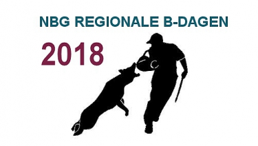 Uitslagen & Deelnemers Regionale B-dagen 2018