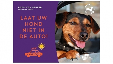 Laat uw hond niet in de auto