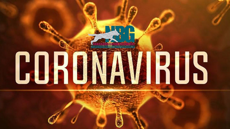 Afgelastingen ivm Coronavirus