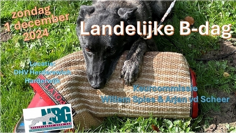 Landelijk B-dag