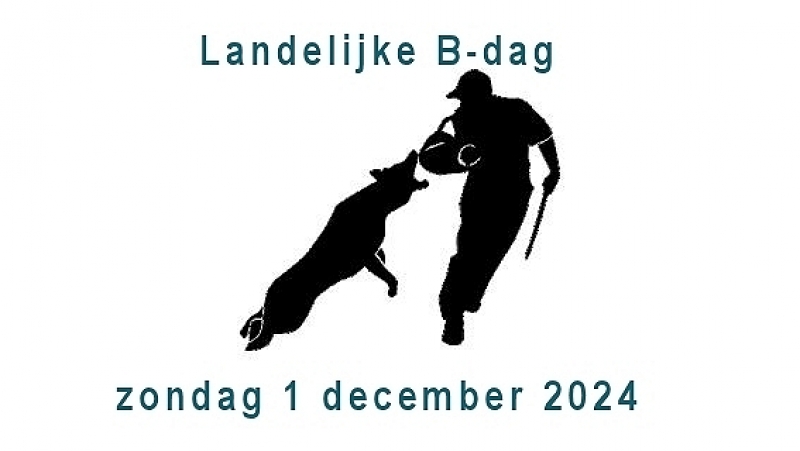 Tijdschema en indeling B-dag