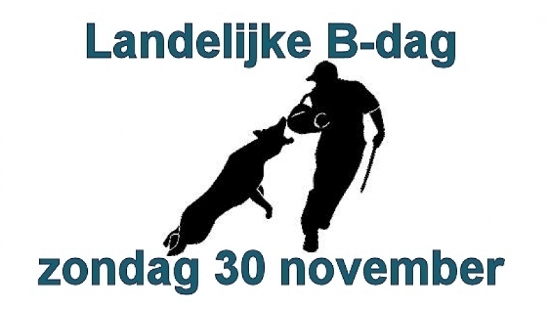 Tijdschema en indeling B-dag