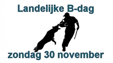 Tijdschema en indeling B-dag