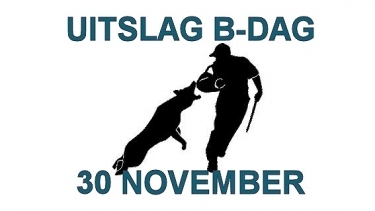 Uitslag B-dag