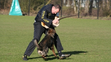 Uitslag Landelijke pakwerkersdag 2015